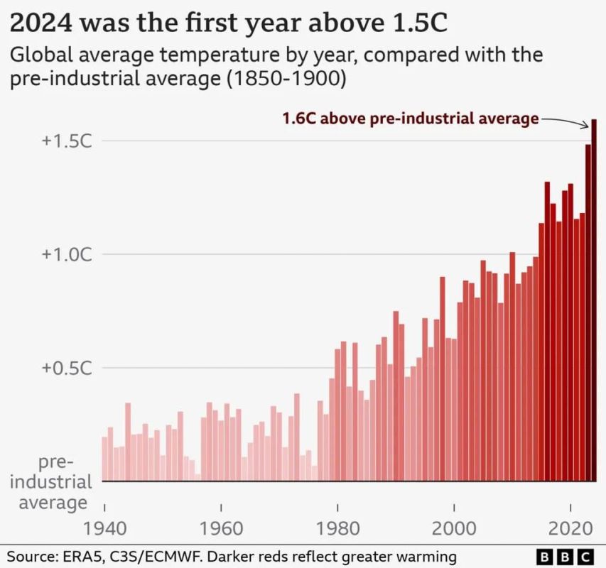 2024- -              